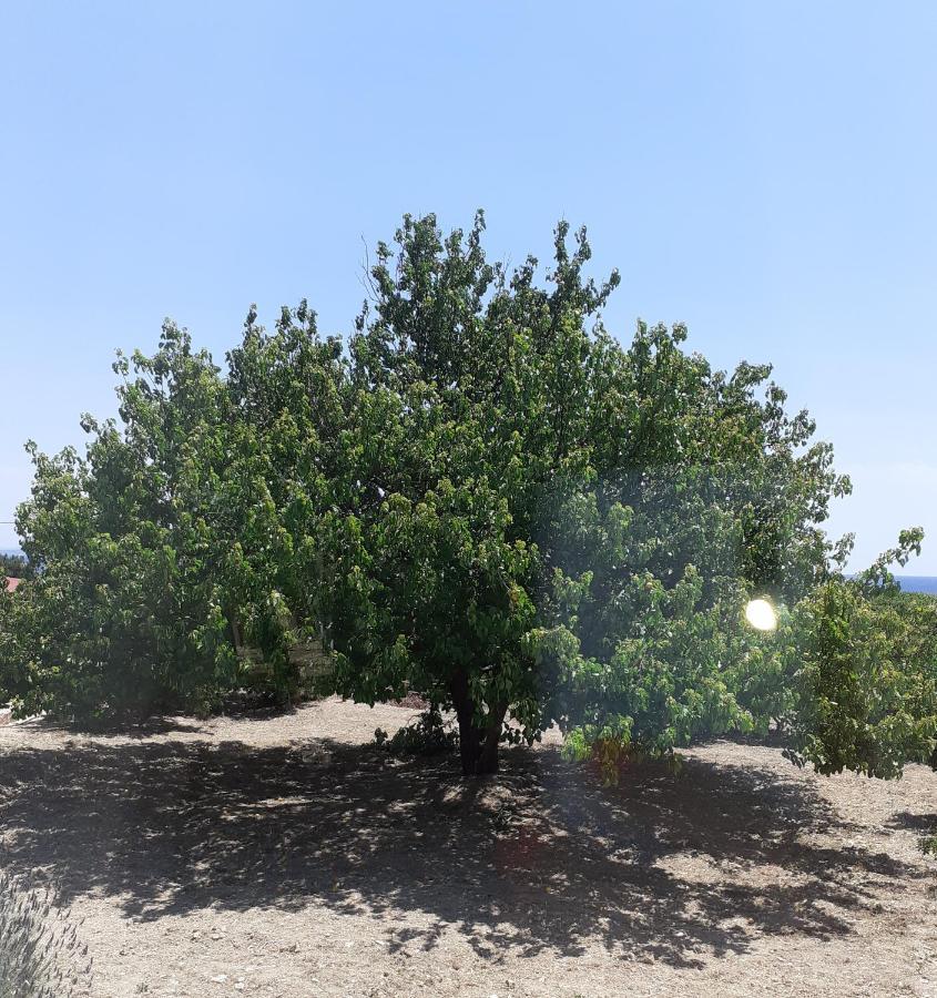Monolia Masticha Village Apartments & Studios מראה חיצוני תמונה