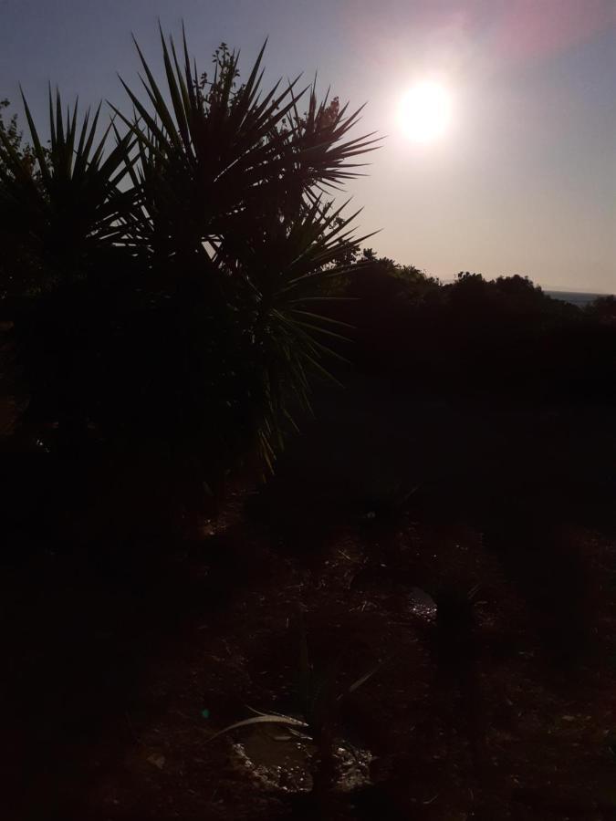 Monolia Masticha Village Apartments & Studios מראה חיצוני תמונה