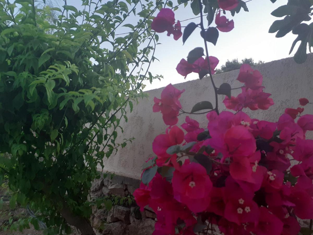 Monolia Masticha Village Apartments & Studios מראה חיצוני תמונה