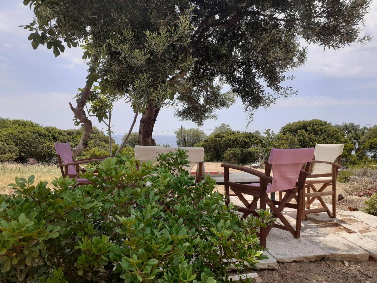 Monolia Masticha Village Apartments & Studios מראה חיצוני תמונה